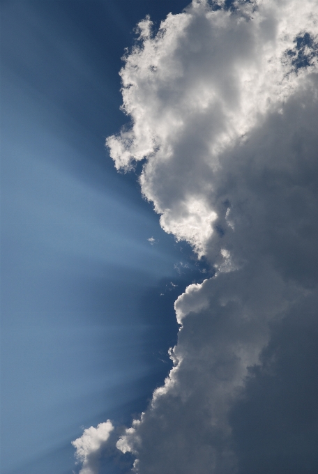 Nature horizon light cloud