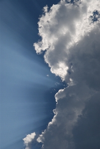 Nature horizon light cloud Photo