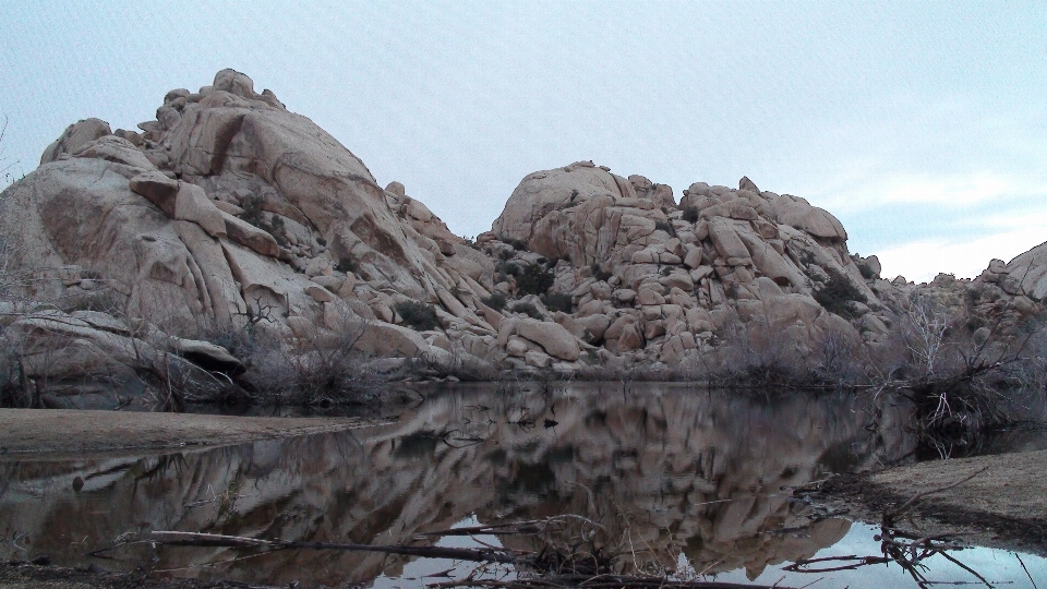 풍경 자연 집 밖의 rock