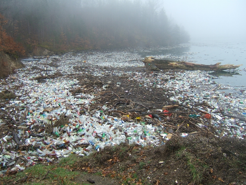 海 霧 プラスチック 悲しい