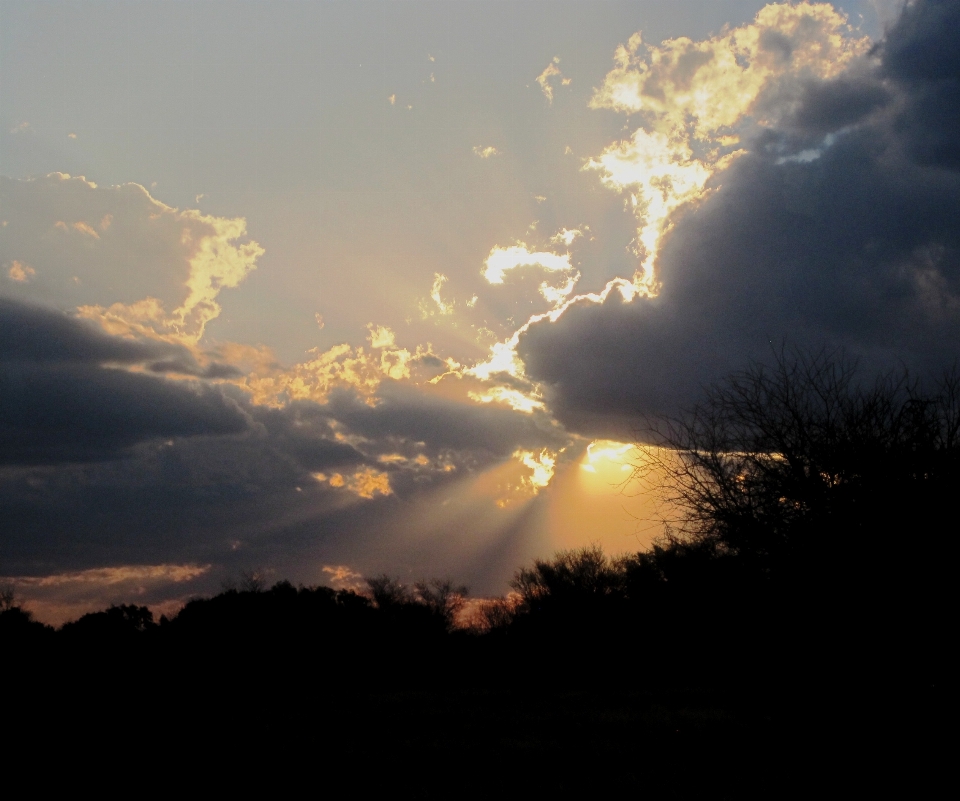 Natur horizont berg licht