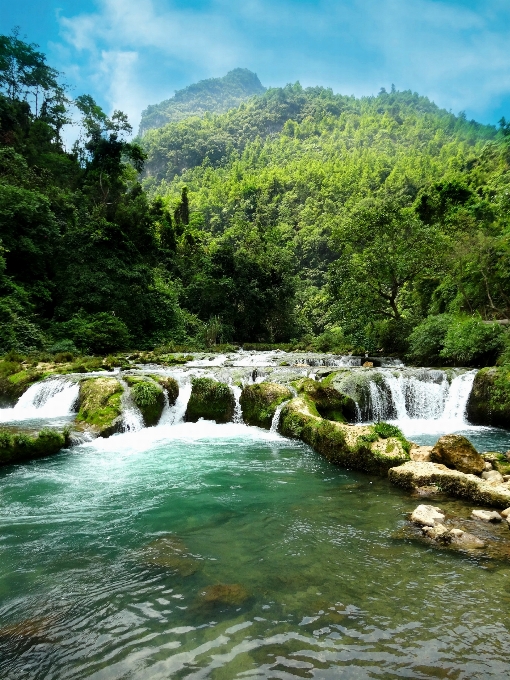 пейзаж дерево вода природа