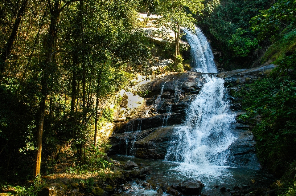 Paisagem árvore água natureza