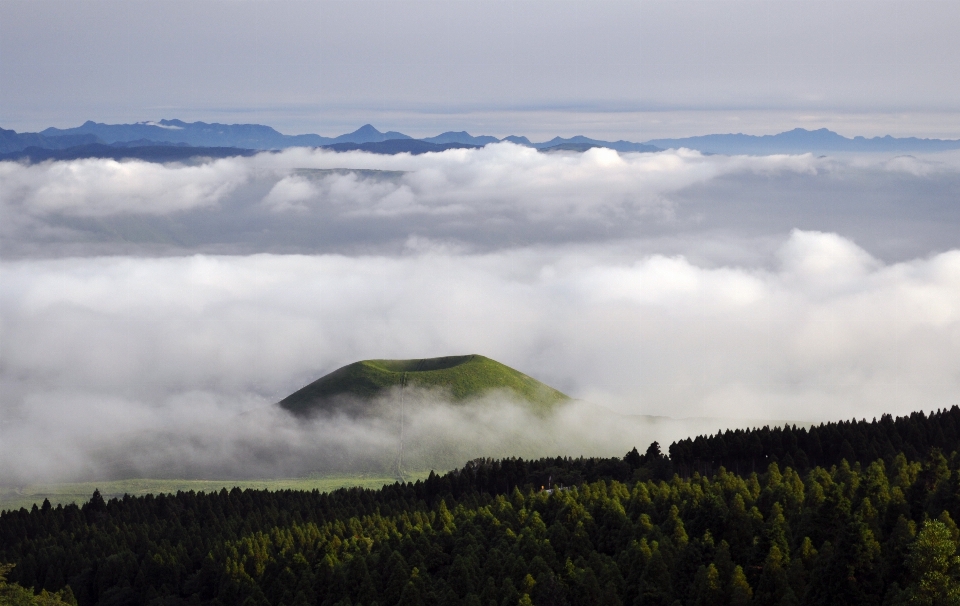 Landscape nature forest horizon