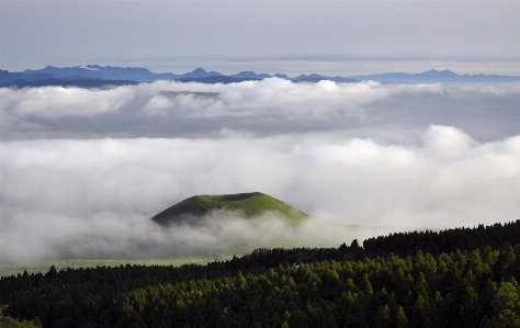 Landscape nature forest horizon Photo