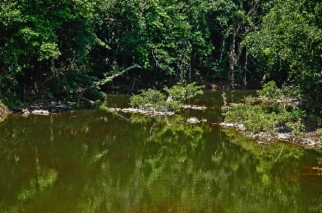 Landscape tree water nature Photo