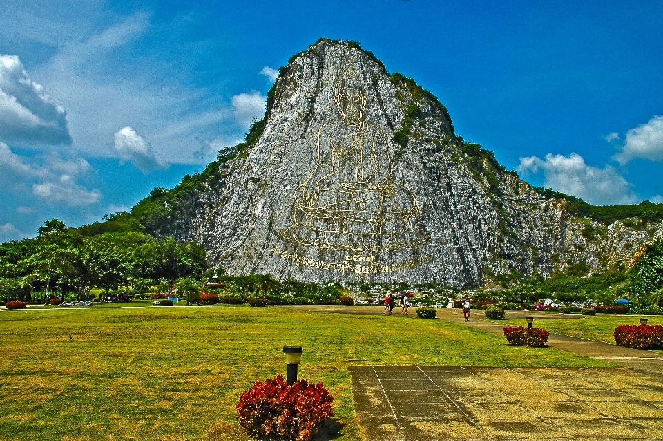 Paisaje árbol rock montaña