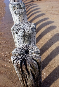 Foto Playa madera monumento estatua