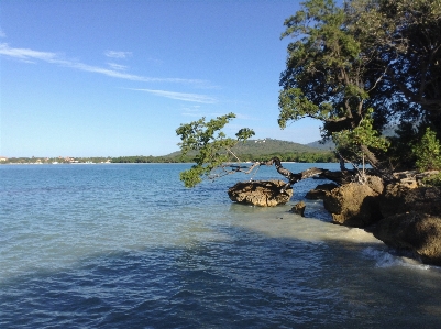 Beach landscape sea coast Photo