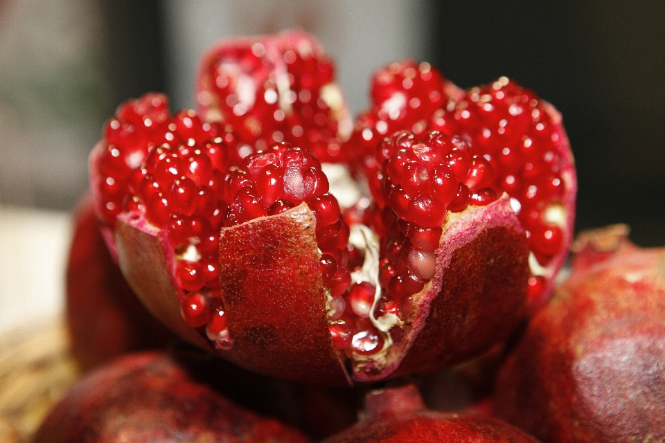 Plant raspberry fruit berry