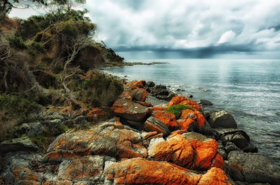 Paisaje mar costa agua