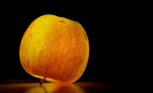 Apple plant fruit flower Photo