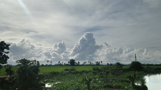 アウトドア 地平線 クラウド 空 写真