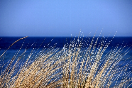 Sea coast water nature Photo