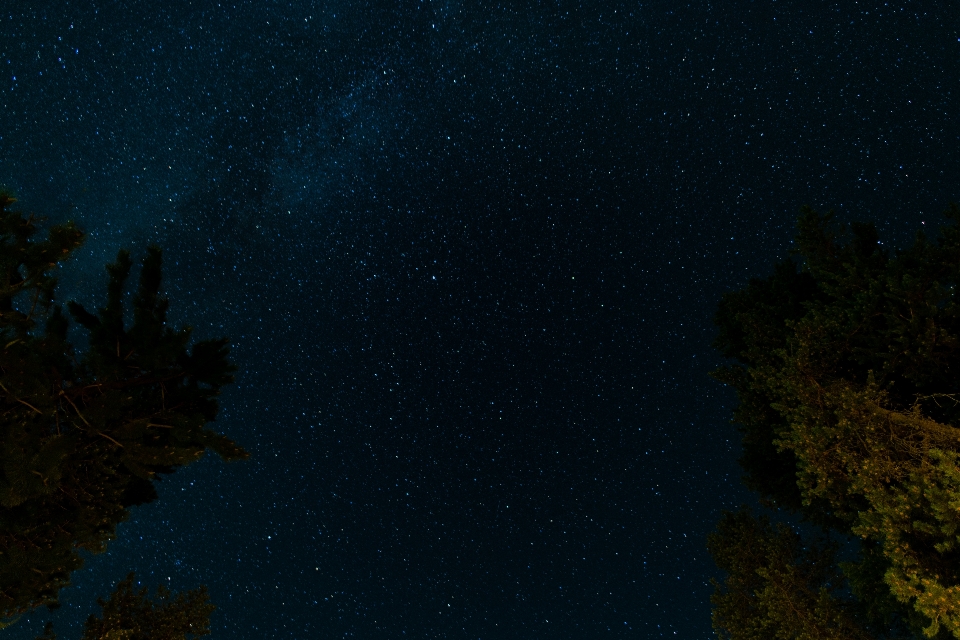 Cielo notte stella atmosfera