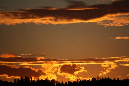 Horizon winter cloud sky Photo