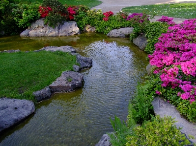 Landscape water plant lawn Photo