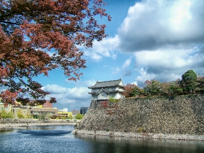 Landscape tree water nature Photo