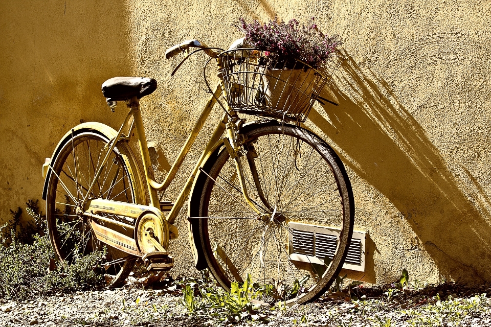 Roue vélo véhicule sol