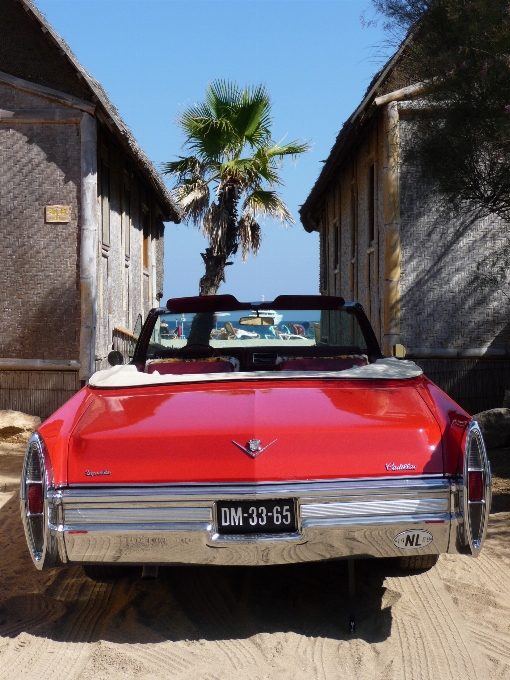 Beach sea sand car