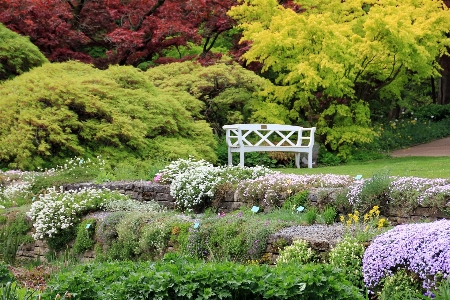 Landscape tree grass plant Photo