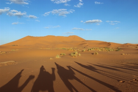 Landscape nature sand prairie Photo