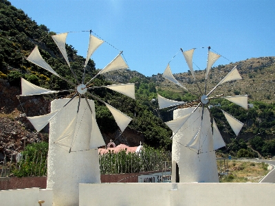 Landscape flower windmill wind Photo