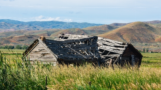 Landscape grass mountain field Photo