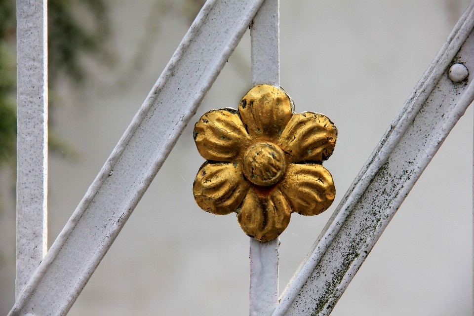 Blatt blume frühling metall