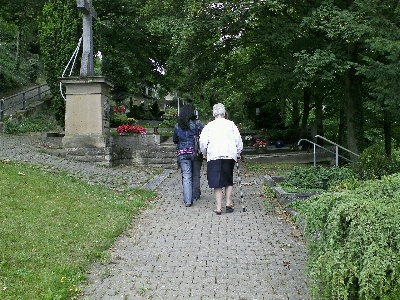 Walkway human cemetery garden Photo