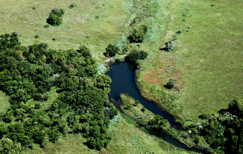 Agua naturaleza bosque césped