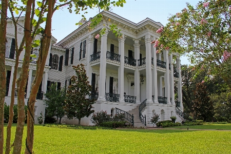 Tree lawn mansion house Photo