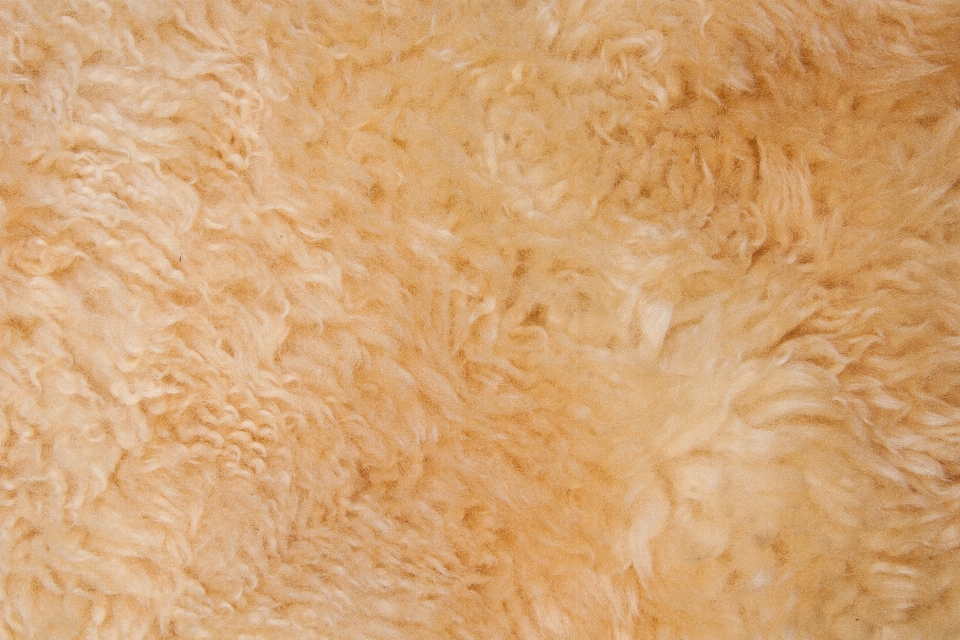 Structure warm floor fur