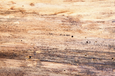 Structure wood texture plank Photo