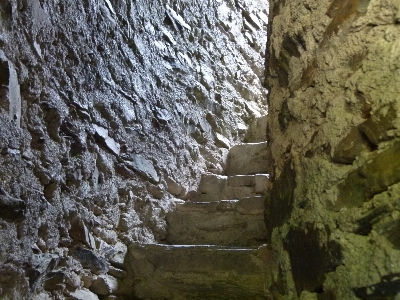 Tree rock structure stair Photo