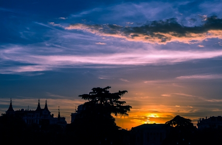 風景 木 地平線 ライト 写真