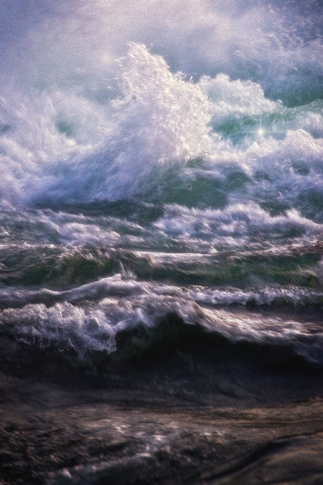 Mare costa acqua natura