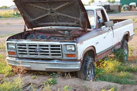 車 農場 年 国 写真