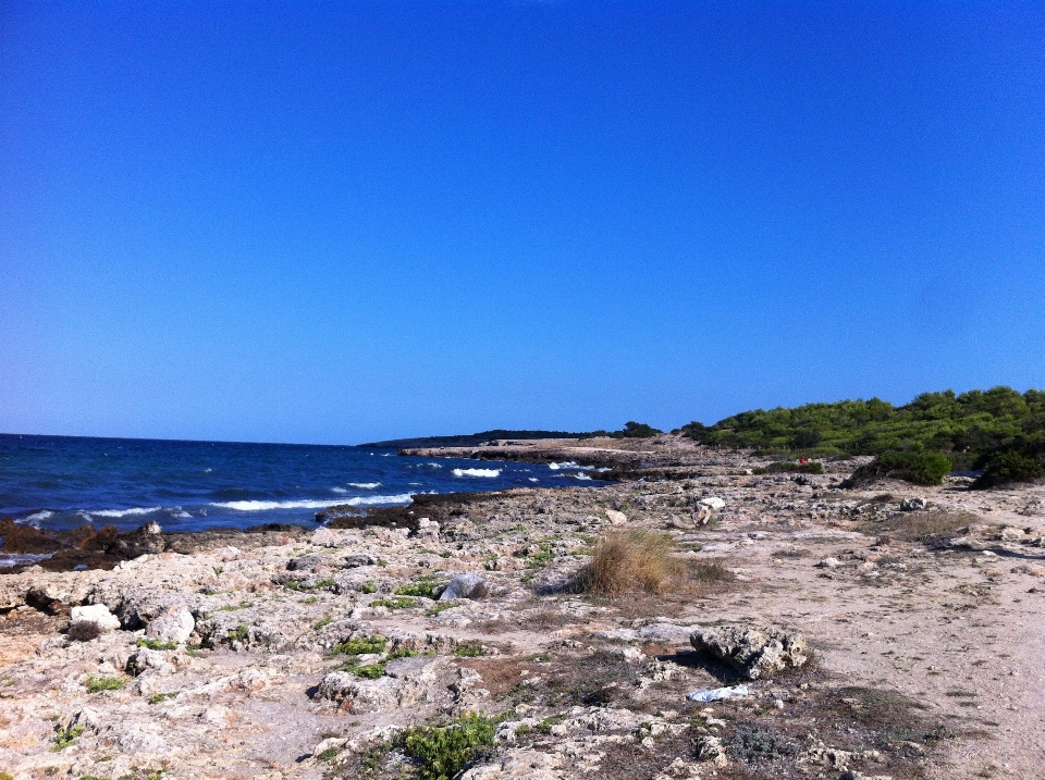 Praia mar costa ar livre