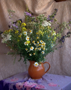 植物 花 夏 花束 写真