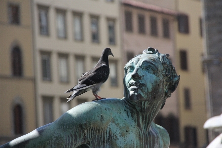 Foto Monumen patung seni merpati