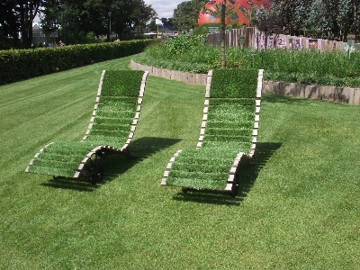 Nature grass structure lawn Photo