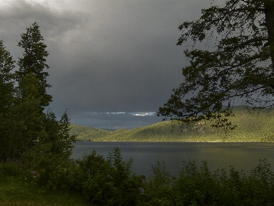 Landscape tree water nature Photo