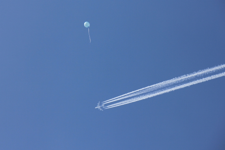 Sayap langit balon angin