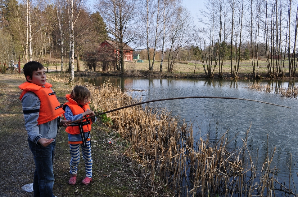 Baum wildnis
 see fluss