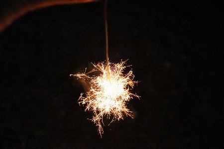 Light night flower sparkler Photo