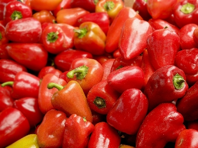 Plant fruit food red Photo