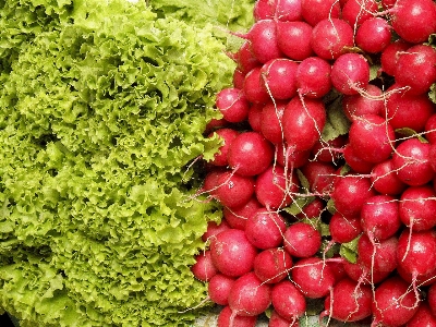 Plant fruit food salad Photo