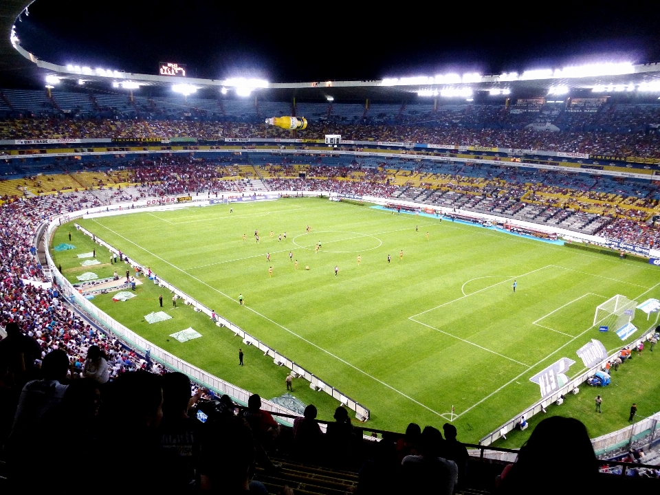 구조 잔디 군중 축구