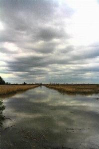 Landscape sea coast water Photo